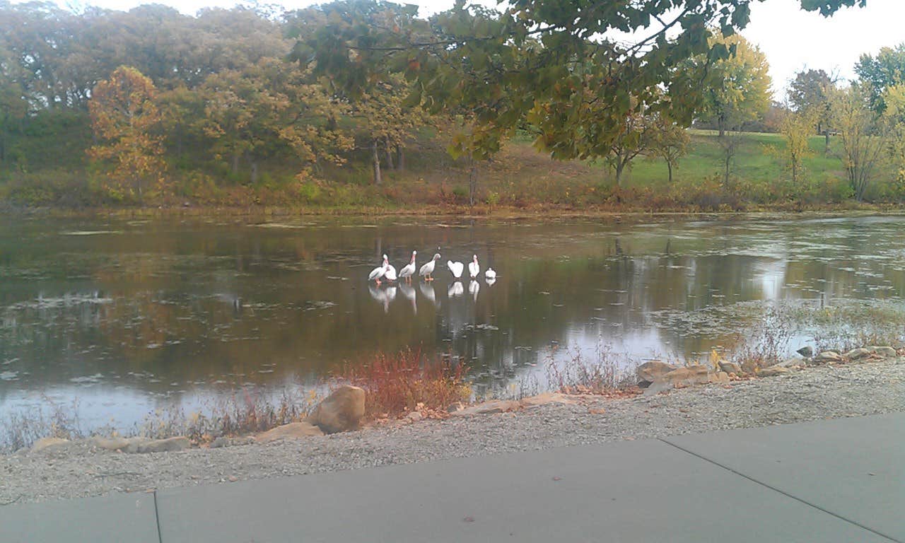 Camper-submitted photo at Lake Shawnee County Campground in Kansas