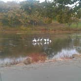 Review photo of Lake Shawnee County Campground by Tommie J., September 28, 2016