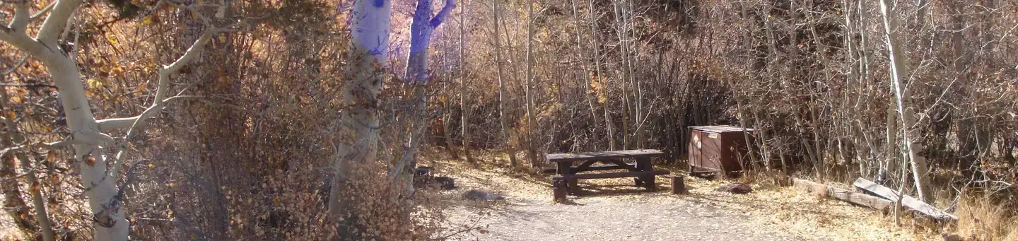 Camper-submitted photo at June Lake Campground near Mammoth Lakes, CA