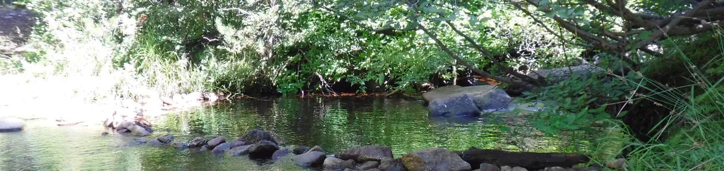 Camper submitted image from Chapman - 1