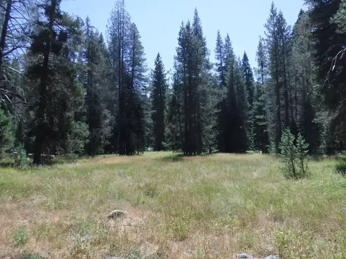 Camper-submitted photo at Chapman near Clio, CA