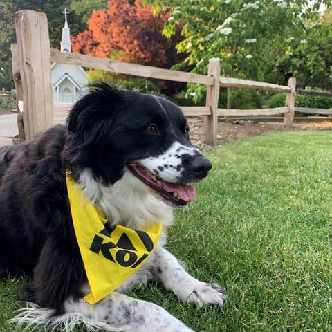 Camper-submitted photo at Lynden/Bellingham KOA near Ferndale, WA