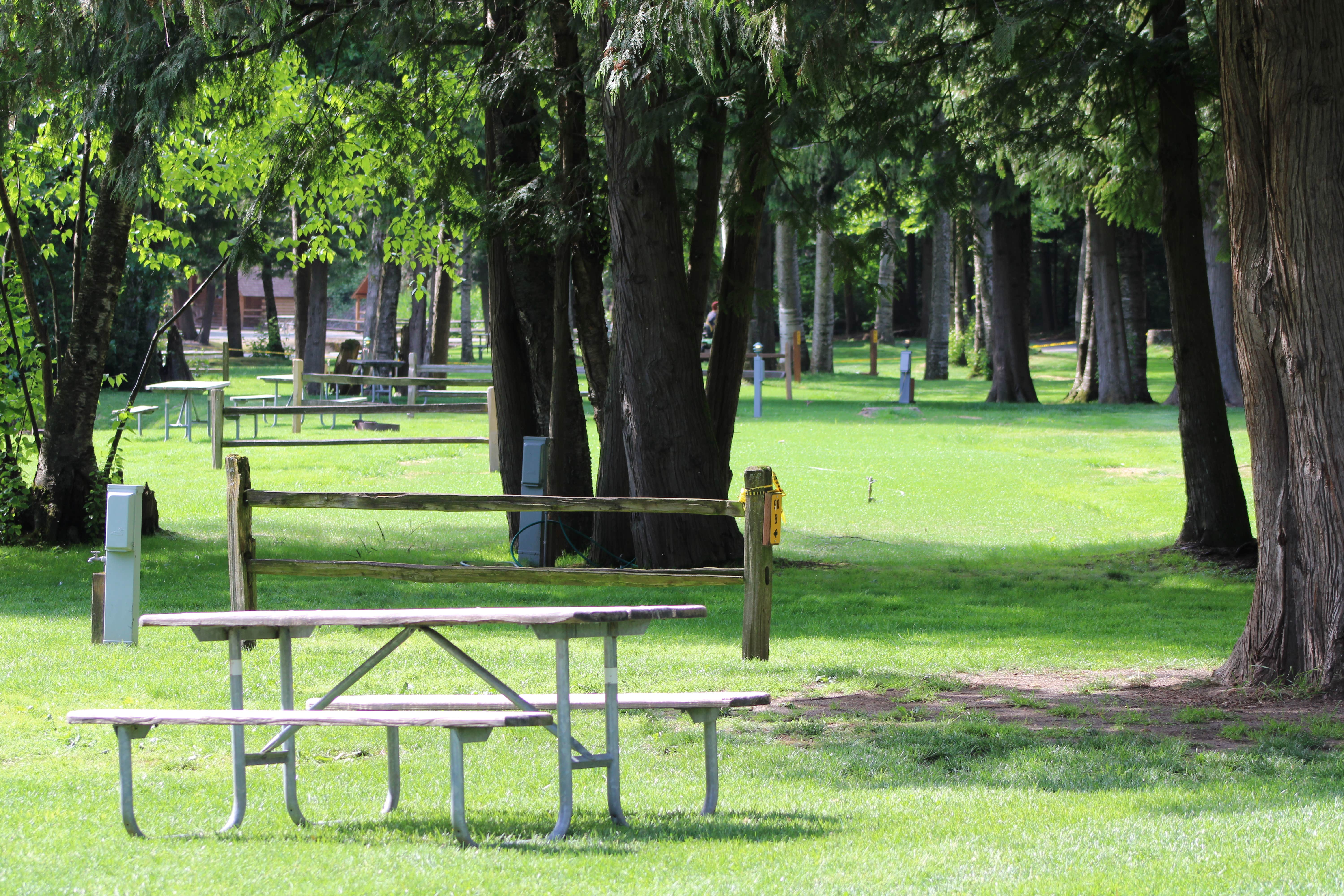 Camper-submitted photo at Lynden/Bellingham KOA near Ferndale, WA