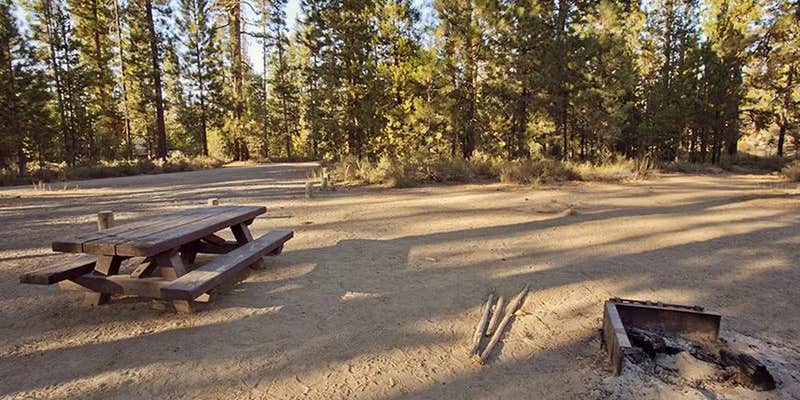 Camper submitted image from Bull Bend Campground