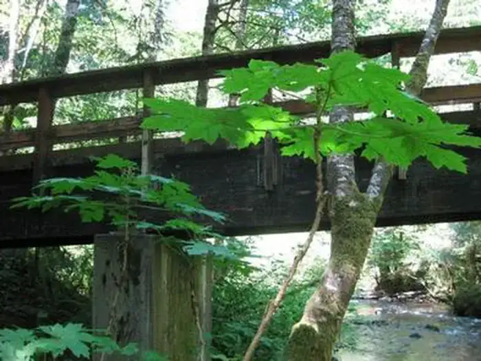 Camper-submitted photo at Camp Creek near Government Camp, OR