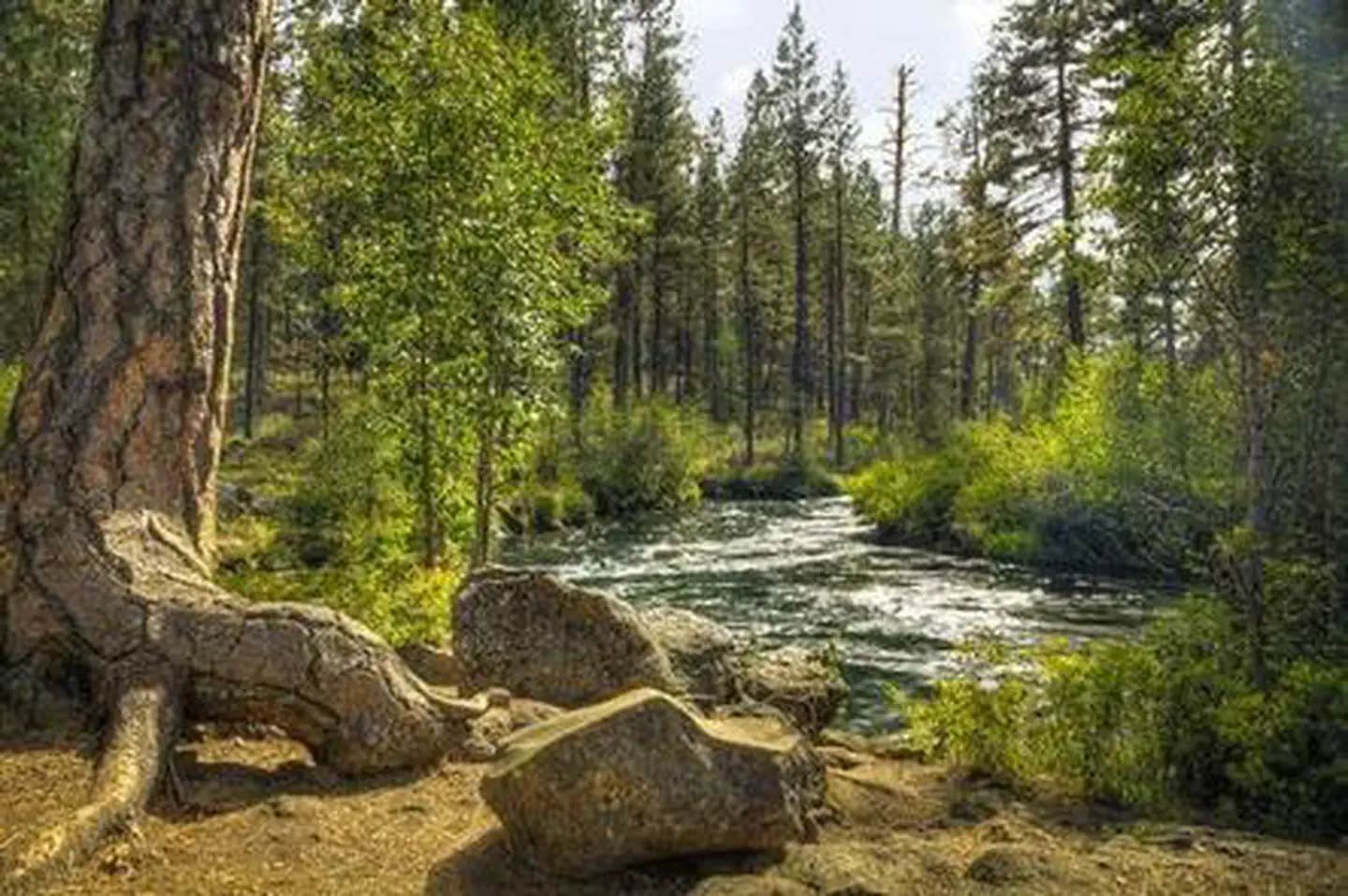 Camper submitted image from Lower Canyon Creek Campground - 1