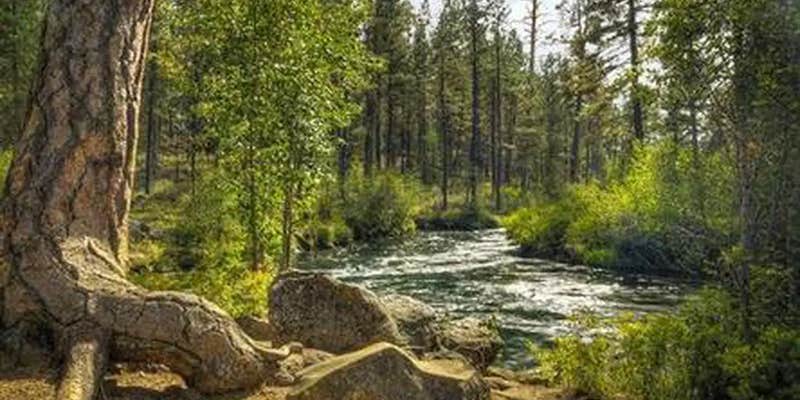 Camper submitted image from Lower Canyon Creek Campground