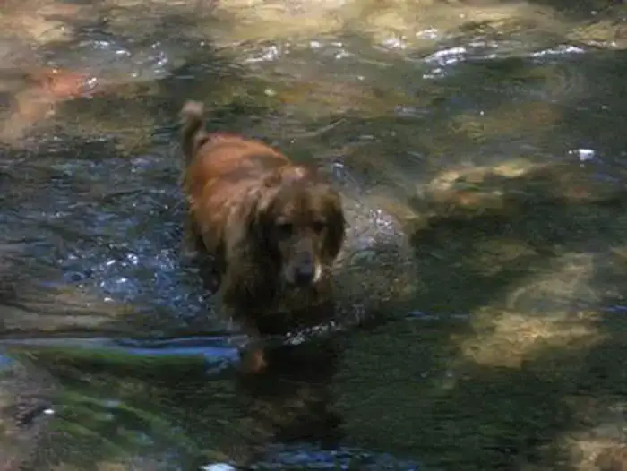 Camper-submitted photo at Camp Creek near Government Camp, OR
