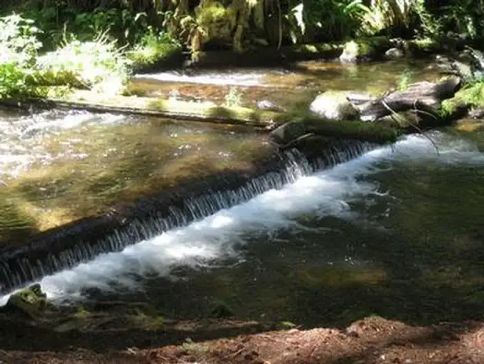 Camper-submitted photo at Camp Creek near Government Camp, OR