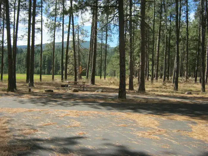 Camper-submitted photo at Kettle River Campground — Lake Roosevelt National Recreation Area near Kettle Valley, WA