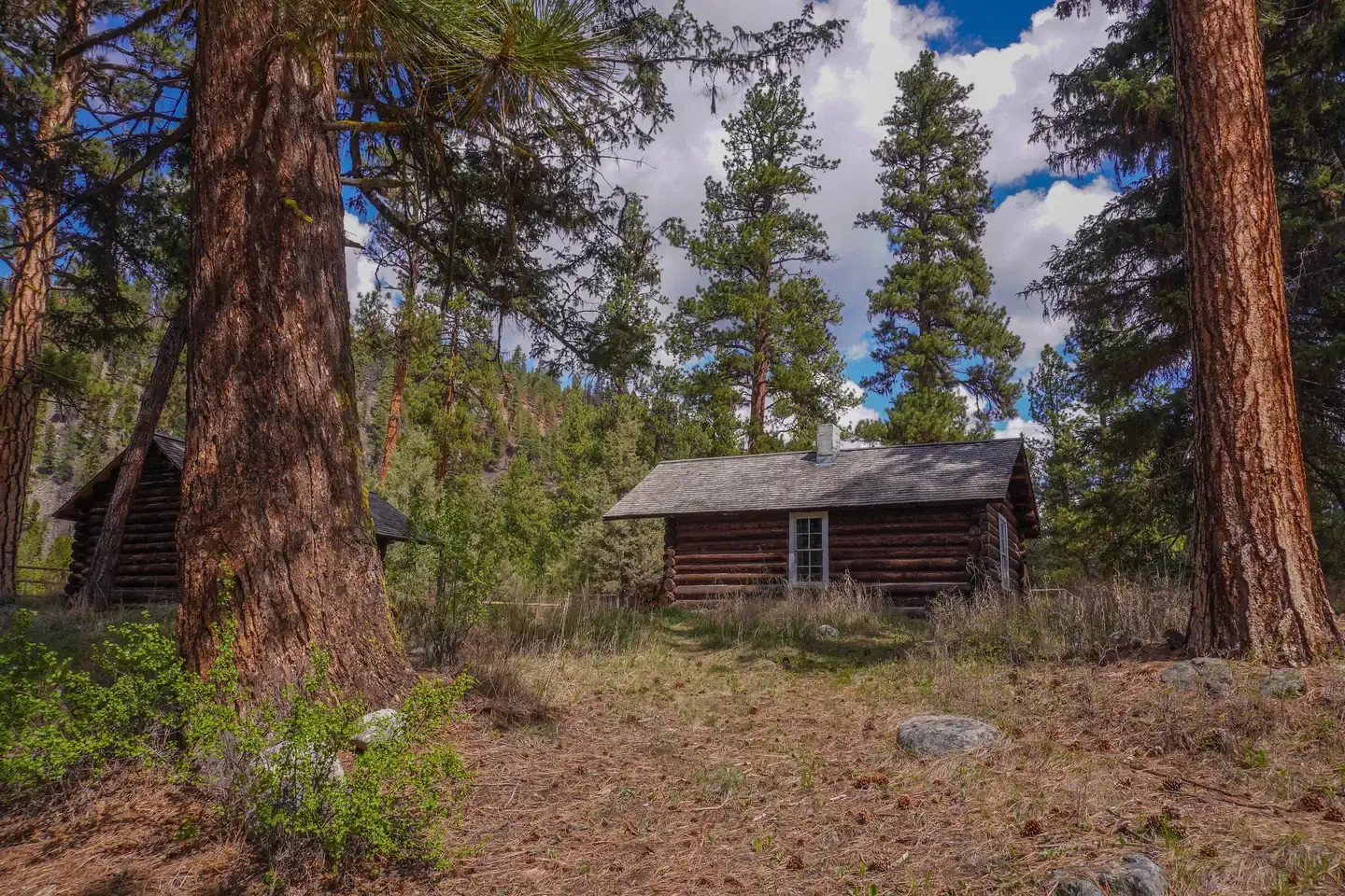 Camper-submitted photo at East Fork Cabin near Sula, MT