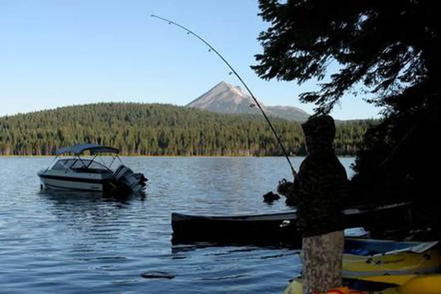Camper submitted image from Aspen Point (lake of The Woods, Or) - 1