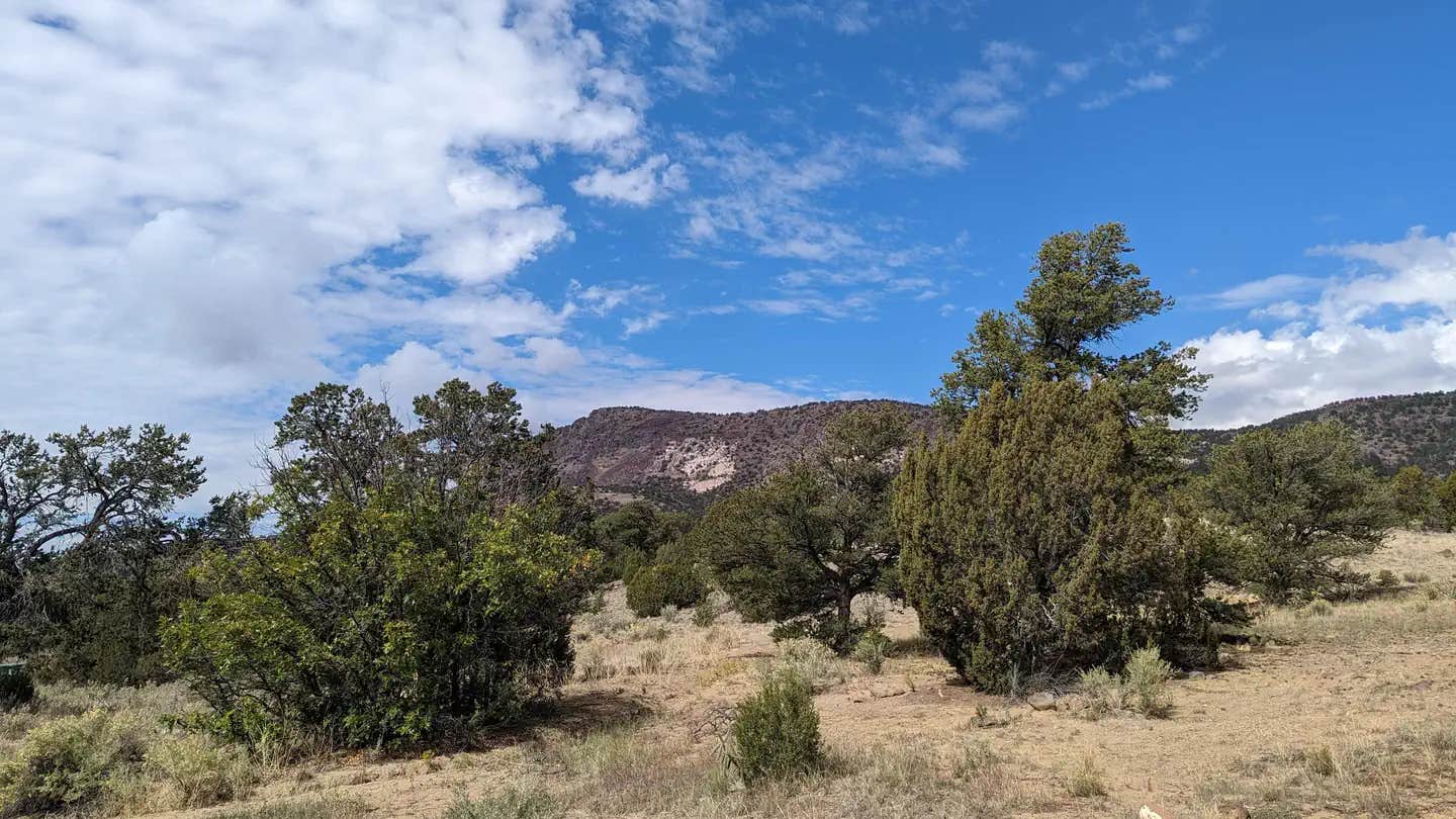 Camper submitted image from Coal Mine Campground - 1