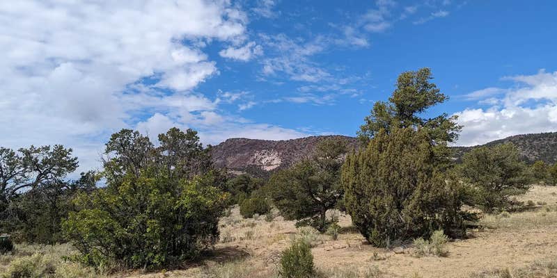 Camper submitted image from Coal Mine Campground