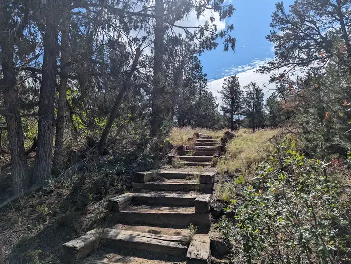 Camper-submitted photo at Coal Mine Campground near El Morro National Monument