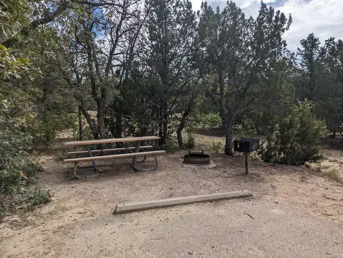 Camper-submitted photo at Coal Mine Campground near El Morro National Monument