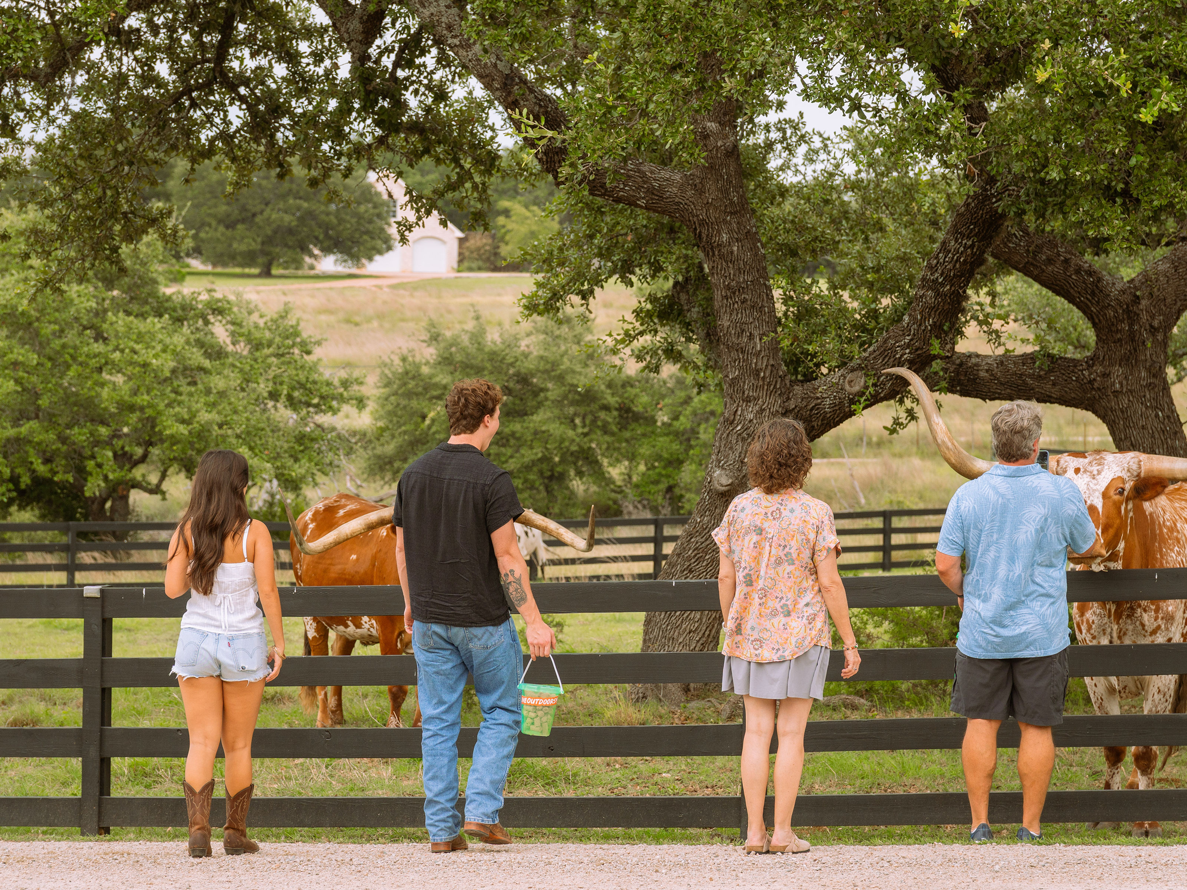 Camper-submitted photo at Outdoorsy Hill Country near Fredericksburg, TX