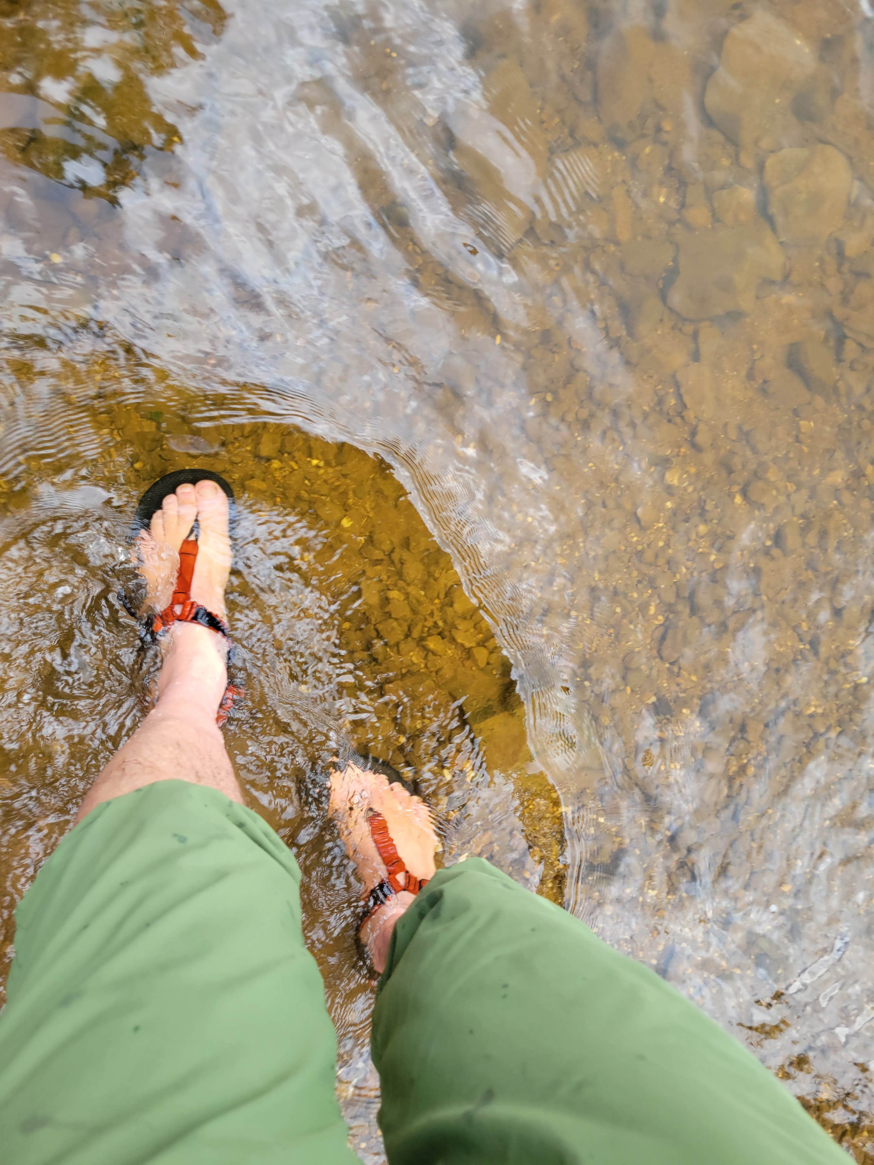 Camper submitted image from Gladwin Dispersed Camping - 3