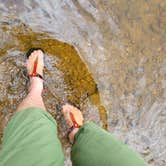 Review photo of Gladwin Dispersed Camping by Ric M., December 5, 2025