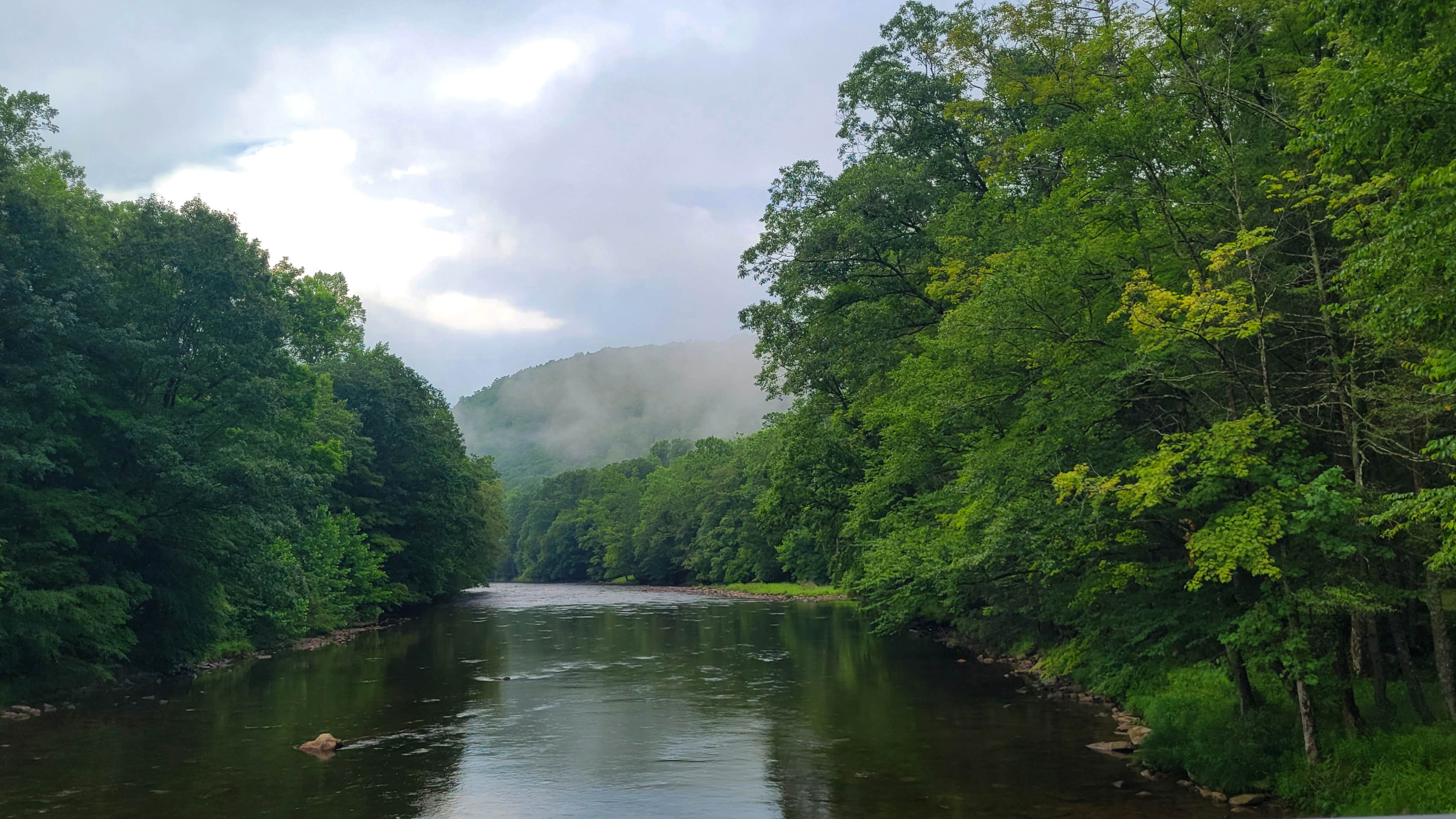 Camper-submitted photo at Gladwin Dispersed Camping near Masontown, WV
