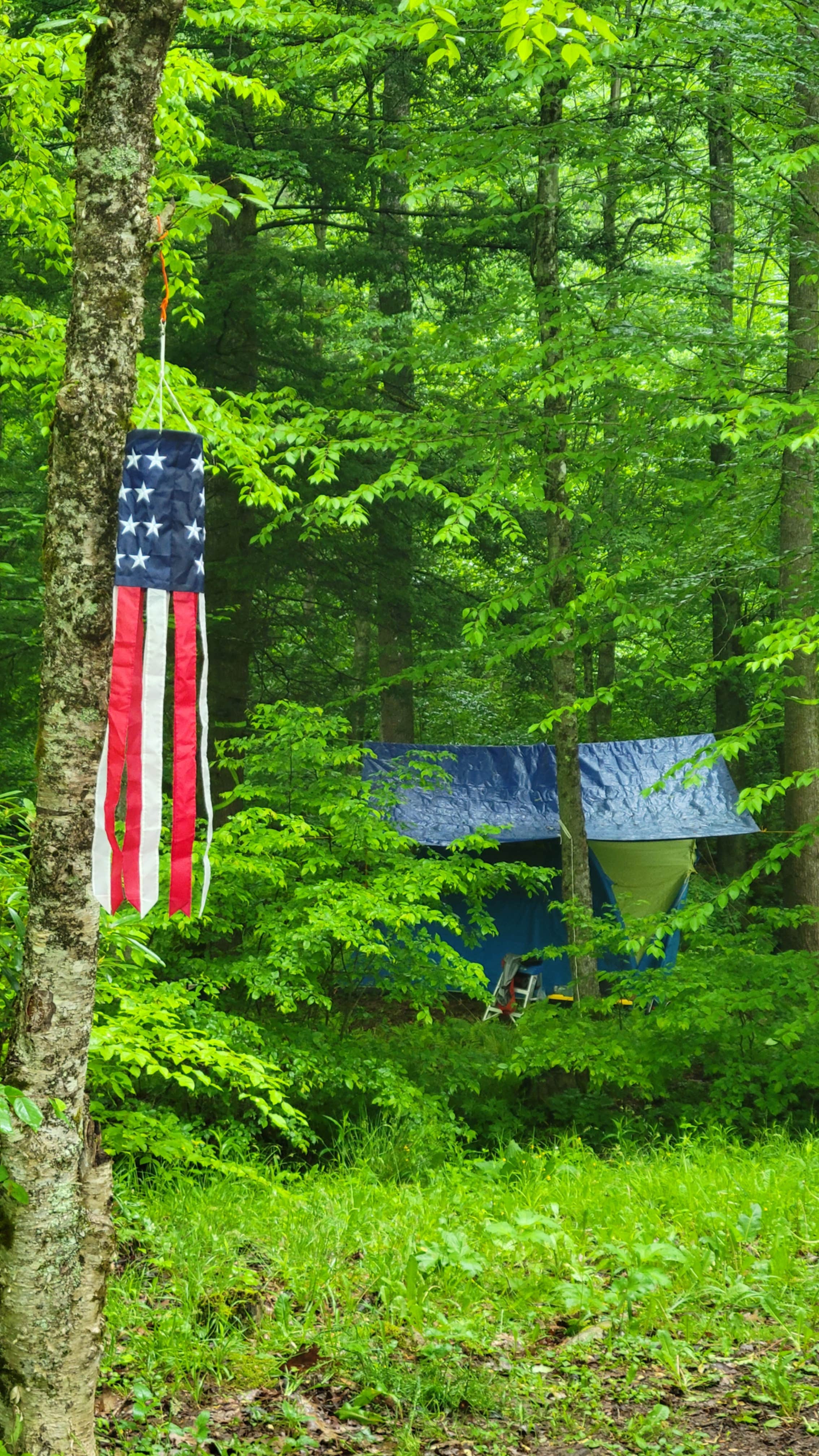 Camper-submitted photo at Lower Glady Dispersed Campground near Glady, WV