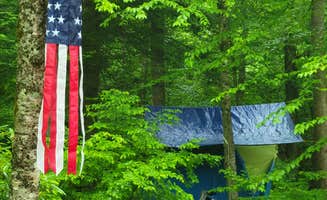Ric M.'s photo of a dispersed camping area at Lower Glady Dispersed Campground near Oakland, MD