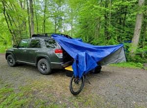 Lower Glady Dispersed Campground