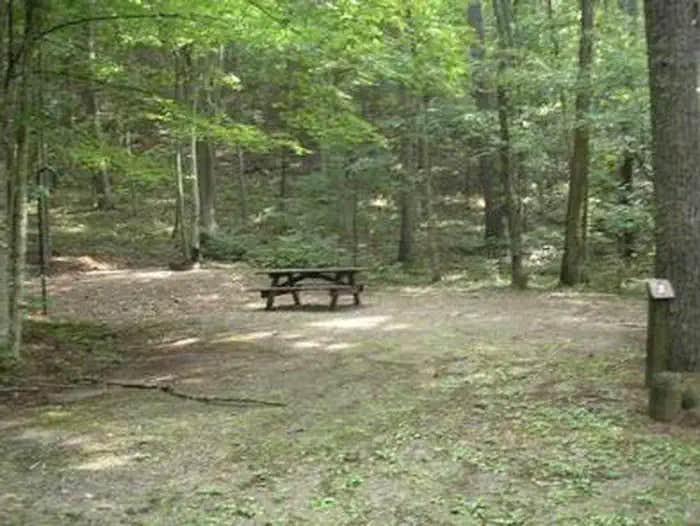 Camper submitted image from Blue Meadow - 1