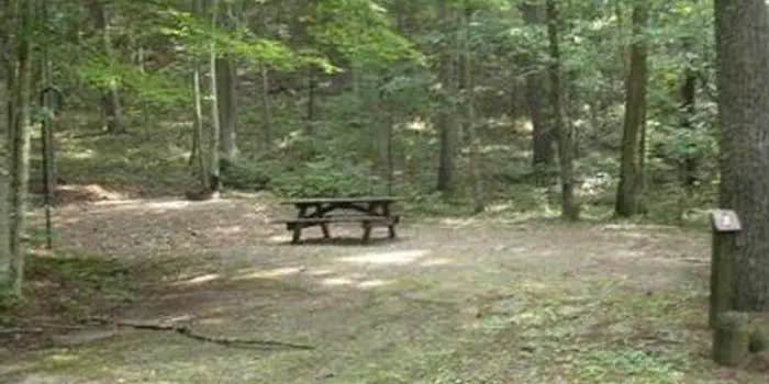 Camper submitted image from Blue Meadow