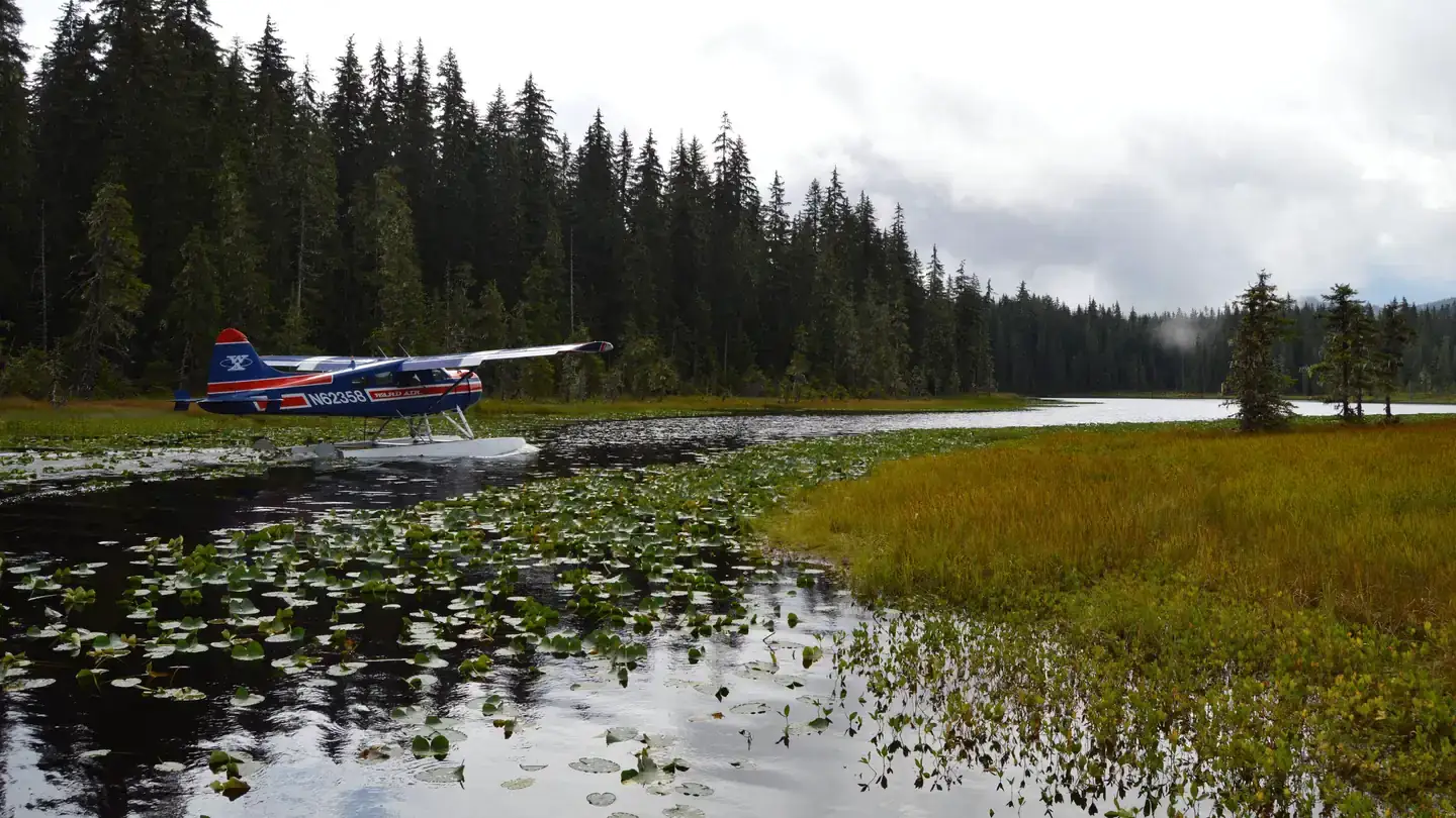 Camper-submitted photo at Peterson Lake Cabin near Gustavus, AK
