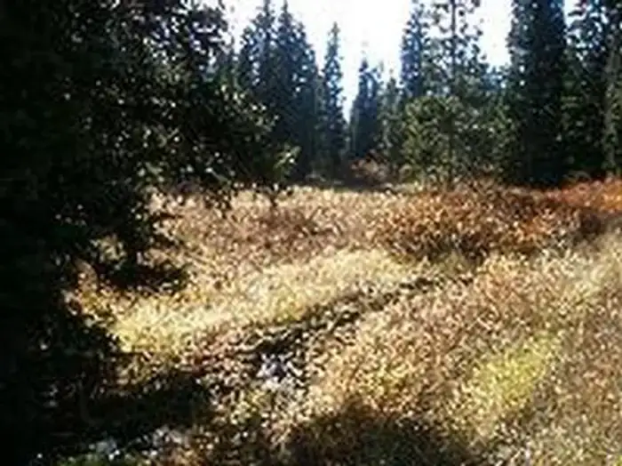 Camper-submitted photo at Caribou National Forest Emigration Campground near Lava Hot Springs, ID