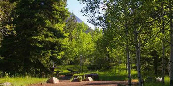 Camper submitted image from Ashley National Forest Hades Campground