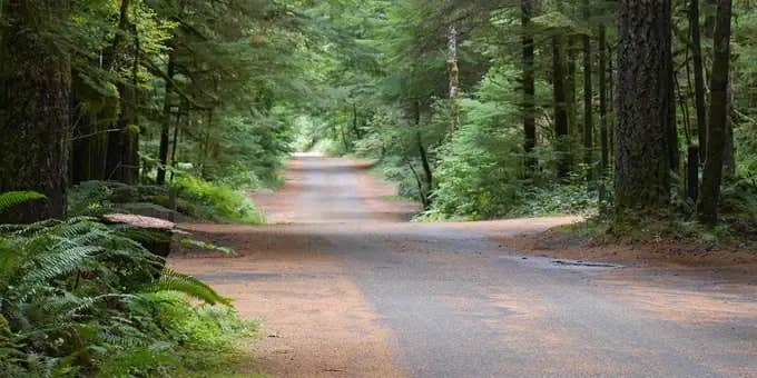 Camper submitted image from Gifford Pinchot National Forest North Fork Forest Camp Campground