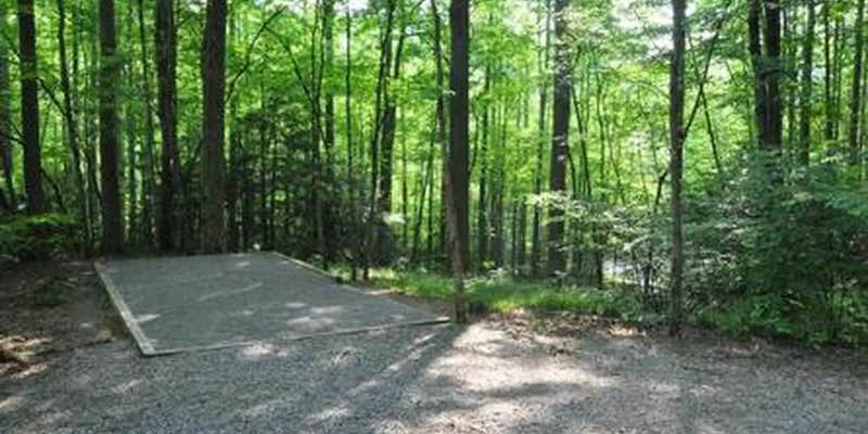 Camper submitted image from Elkmont Group Campground — Great Smoky Mountains National Park