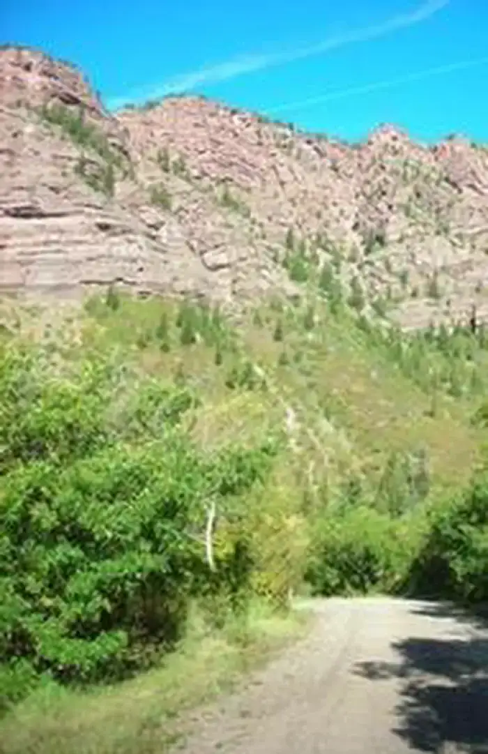 Camper-submitted photo at Redstone White River National Forest near Carbondale, CO