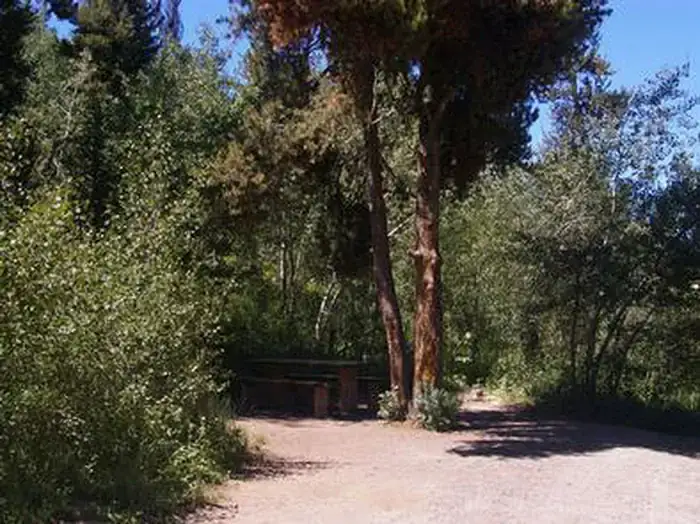 Camper-submitted photo at Lower Penstemon near Rogerson, ID