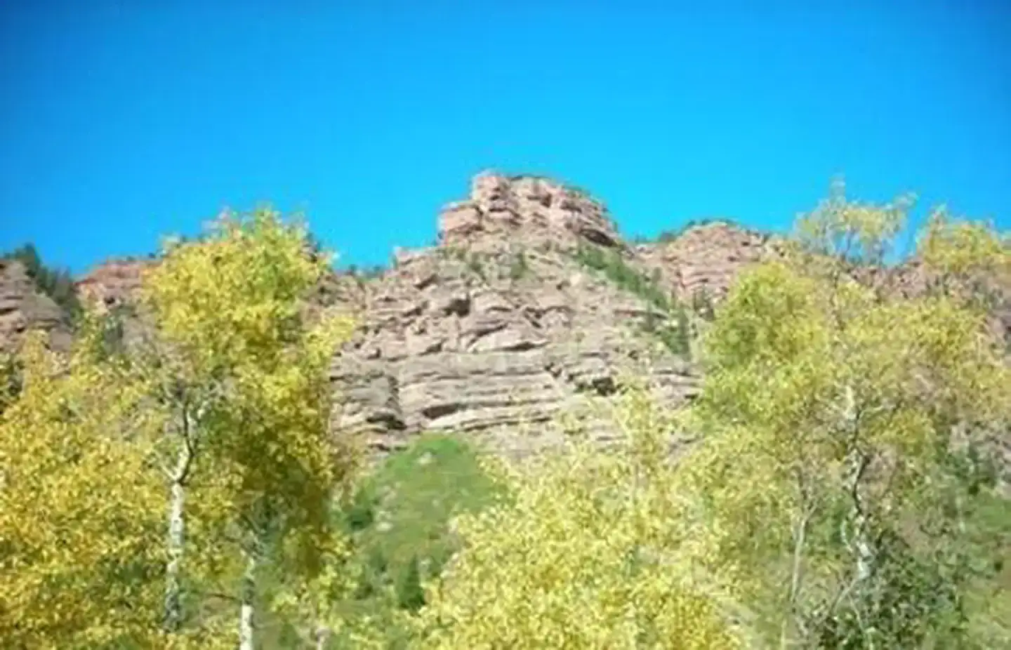 Camper-submitted photo at Redstone White River National Forest near Carbondale, CO