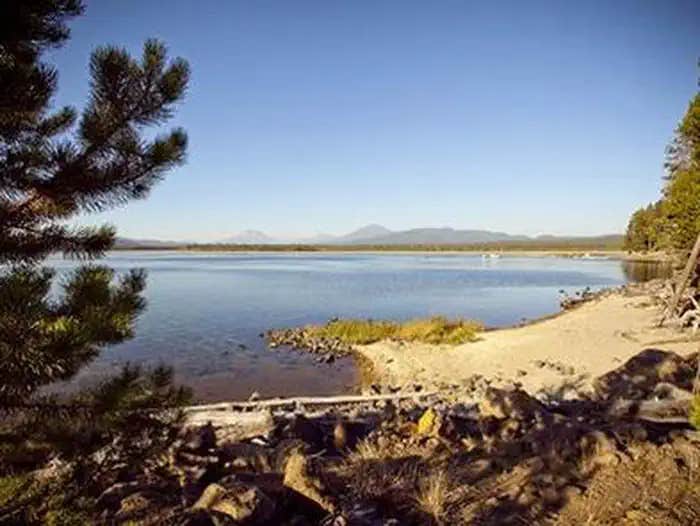 Camper submitted image from Crane Prairie Campground - 1