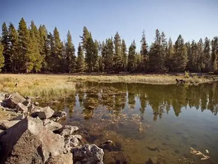 Camper-submitted photo at Crane Prairie Campground near La Pine, OR