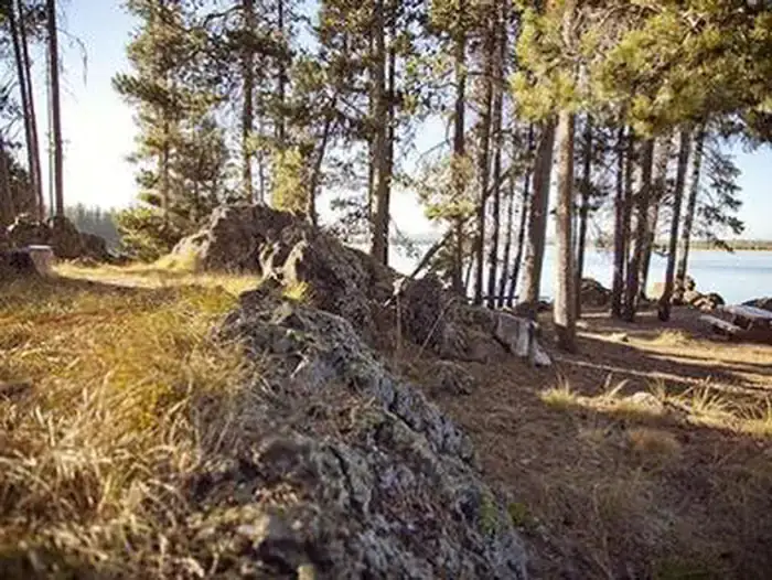 Camper-submitted photo at Crane Prairie Campground near La Pine, OR