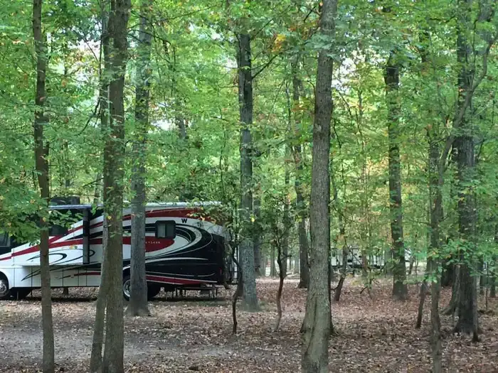 Camper-submitted photo at Greenbelt Park Campground — Greenbelt Park near Huntingtown, MD