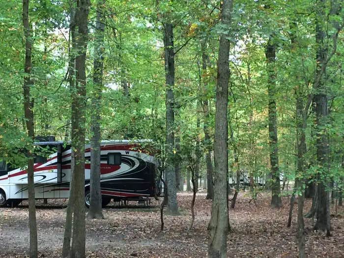 Camper submitted image from Greenbelt Park Campground — Greenbelt Park - 1