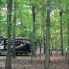 Camper-submitted photo from Greenbelt Park Campground — Greenbelt Park