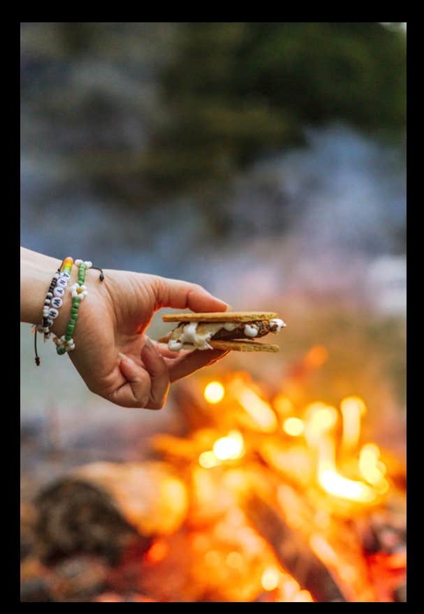 Camper submitted image from Hidden Orchard - 2