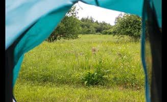 Adam L.'s photo at Hidden Orchard near Peru, VT