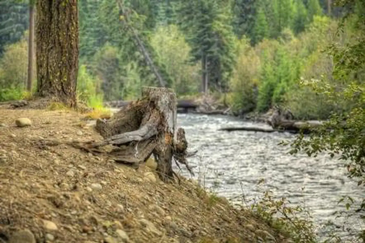 Camping near American Ridge Lodge: Cedar Springs Campground (WA), Goose Prairie, Washington