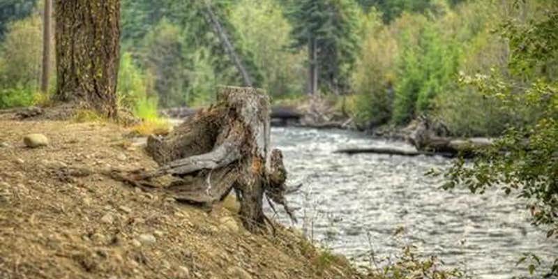 Camper submitted image from Cedar Springs Campground (WA)