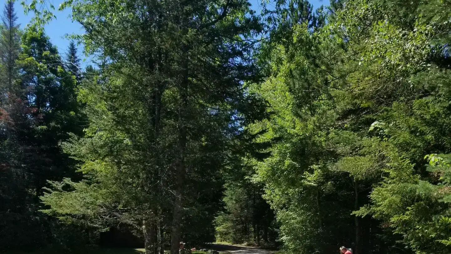 Camper-submitted photo at Sugarloaf 2 Campground near Twin Mountain, NH