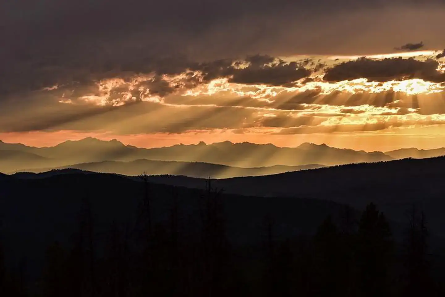 Camper-submitted photo at Mccart Lookout near Gibbonsville, ID