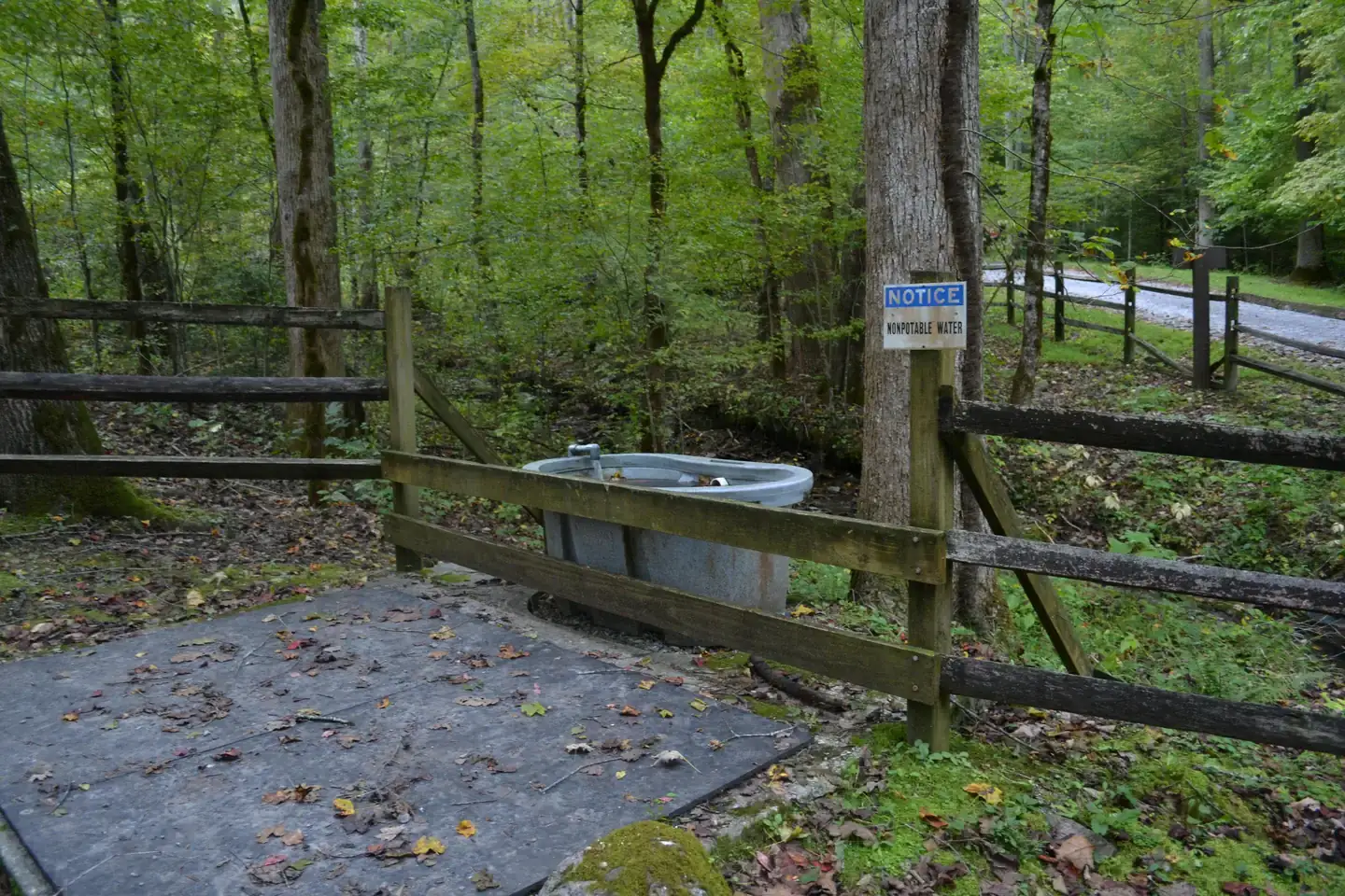 Camping near Mount Sterling: Big Creek Horse Camp — Great Smoky Mountains National Park, Hartford, North Carolina